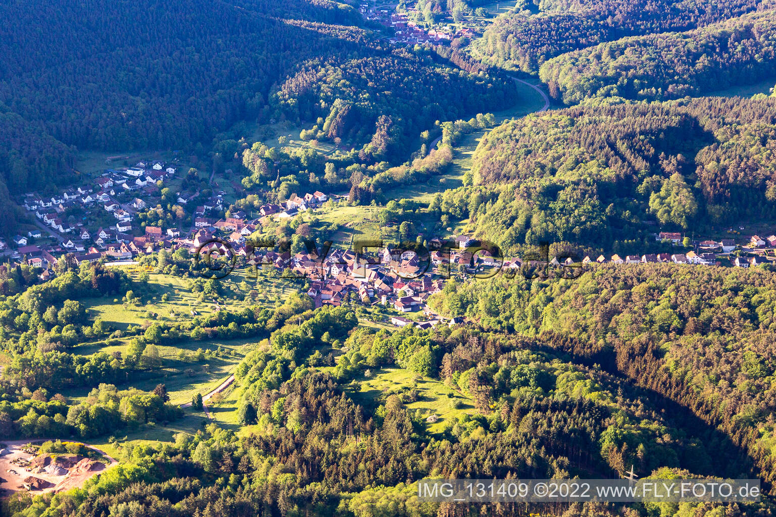 Schwanheim im Bundesland Rheinland-Pfalz, Deutschland aus der Luft betrachtet