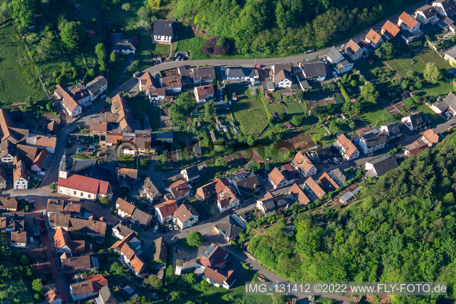 Schwanheim im Bundesland Rheinland-Pfalz, Deutschland aus der Drohnenperspektive