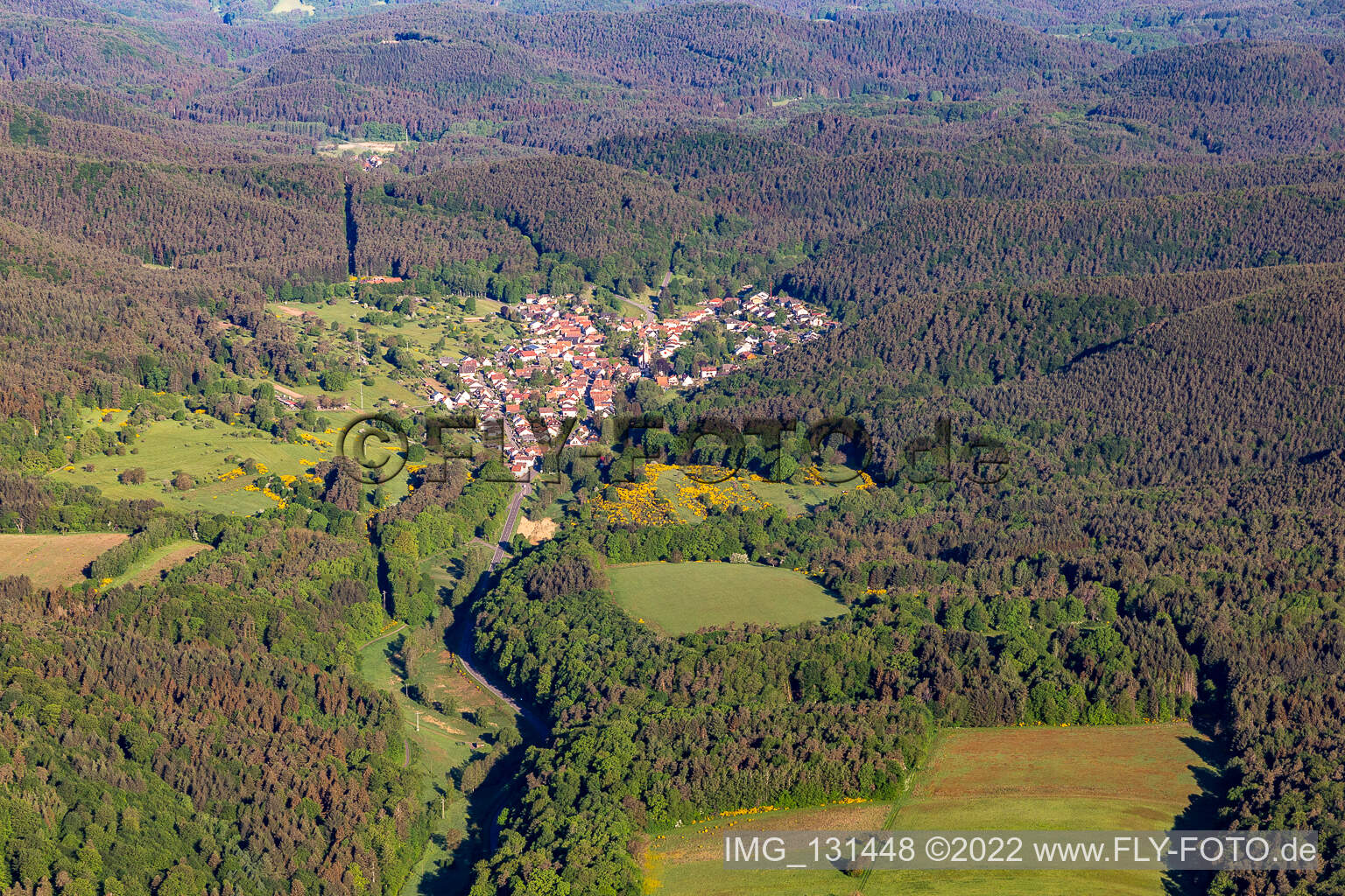 Birkenhördt im Bundesland Rheinland-Pfalz, Deutschland von der Drohne aus gesehen