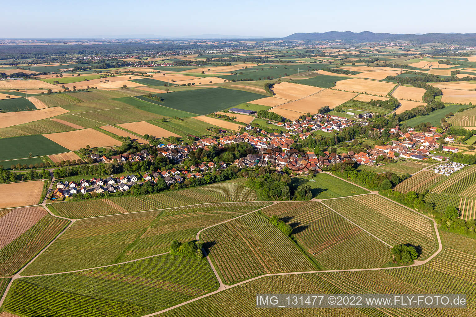 Dierbach im Bundesland Rheinland-Pfalz, Deutschland aus der Luft betrachtet