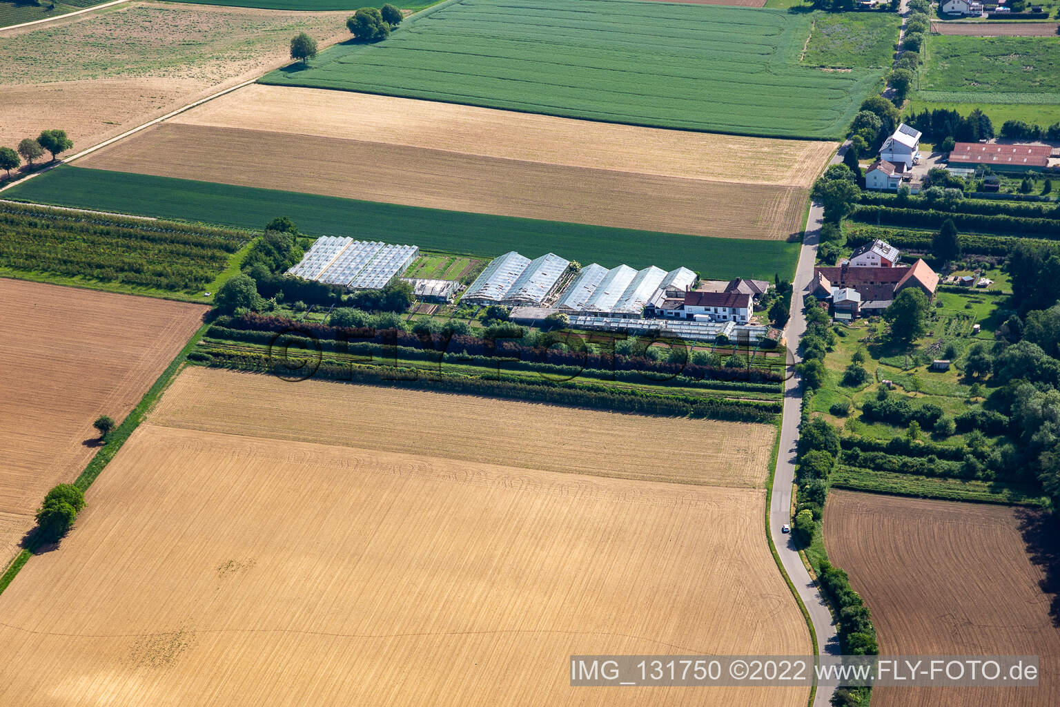 Luftaufnahme von Dieter Schmeißer Schnittgrün in Vollmersweiler im Bundesland Rheinland-Pfalz, Deutschland