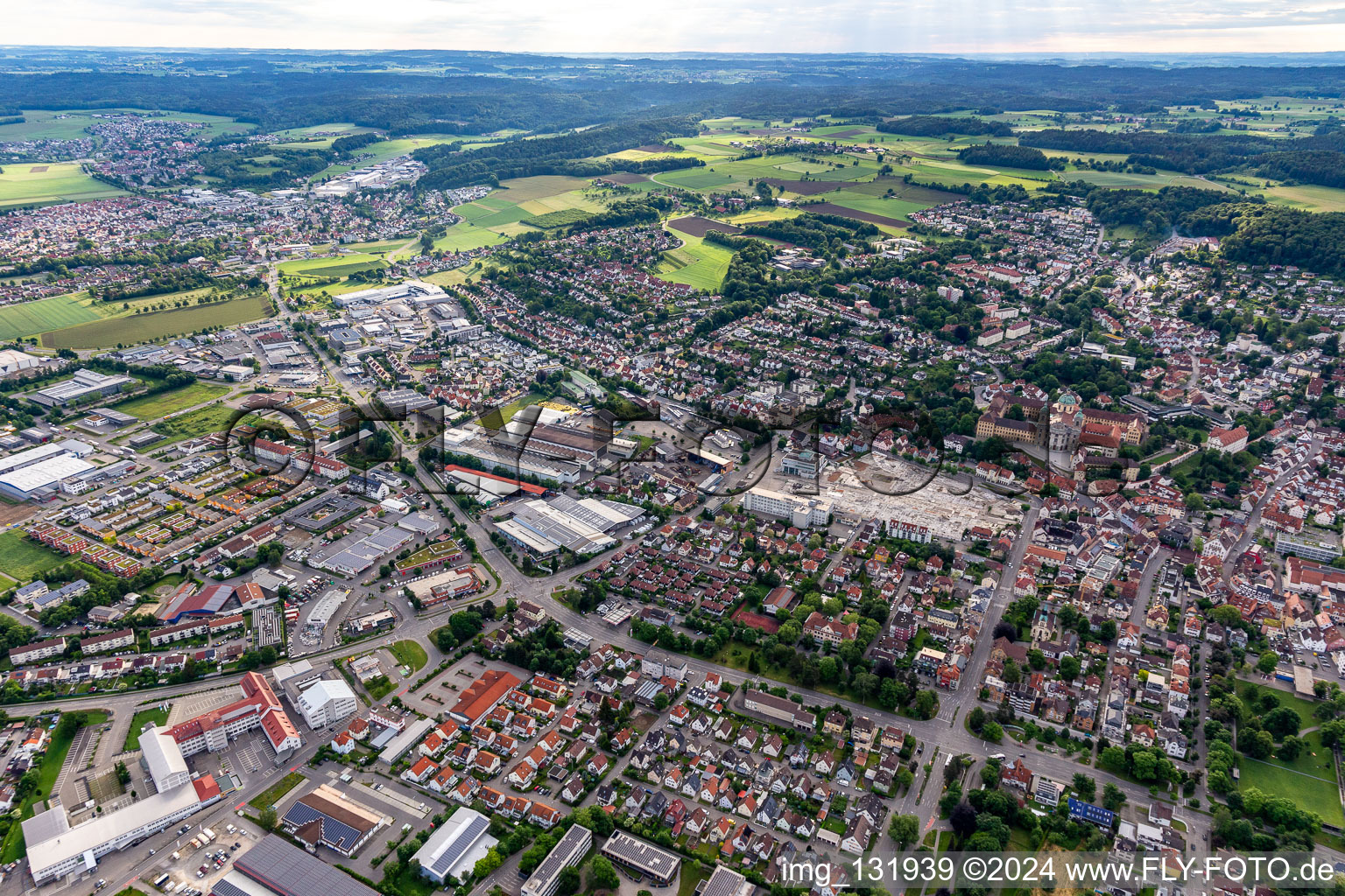 Trauben in Weingarten bei Ravensburg im Bundesland Baden-Württemberg, Deutschland