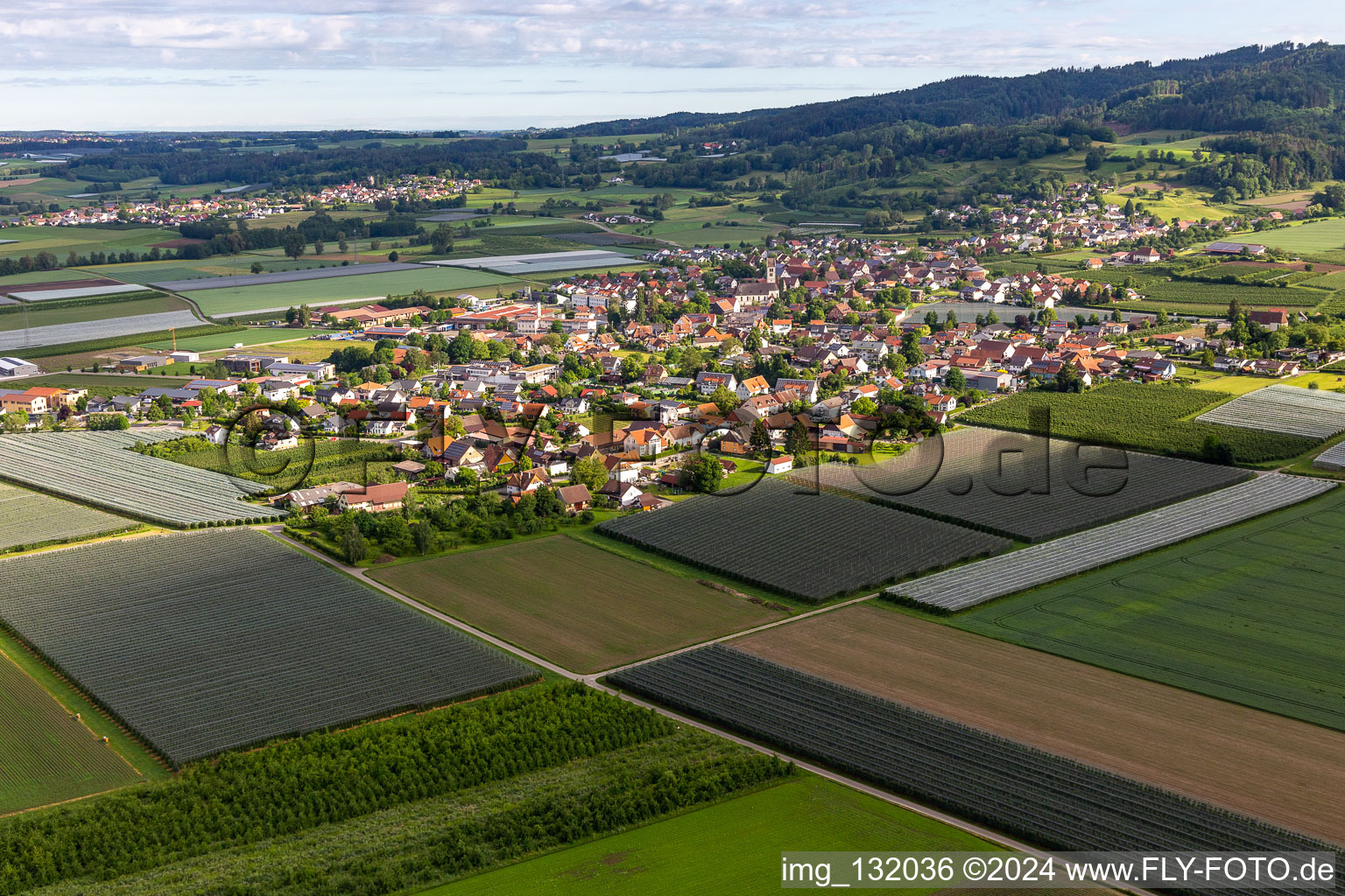 / in Frickingen im Bundesland Baden-Württemberg, Deutschland