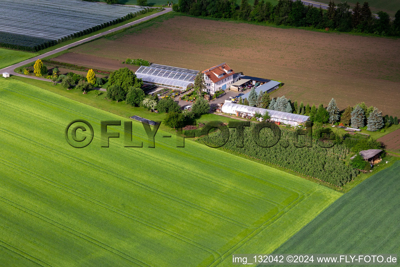 Hodapp Gärtnerei und Floristik im Ortsteil Altheim in Frickingen im Bundesland Baden-Württemberg, Deutschland