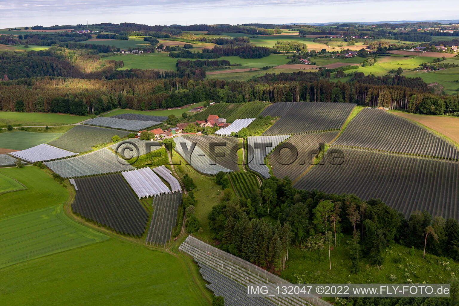 Luftbild von Frickingen im Bundesland Baden-Württemberg, Deutschland