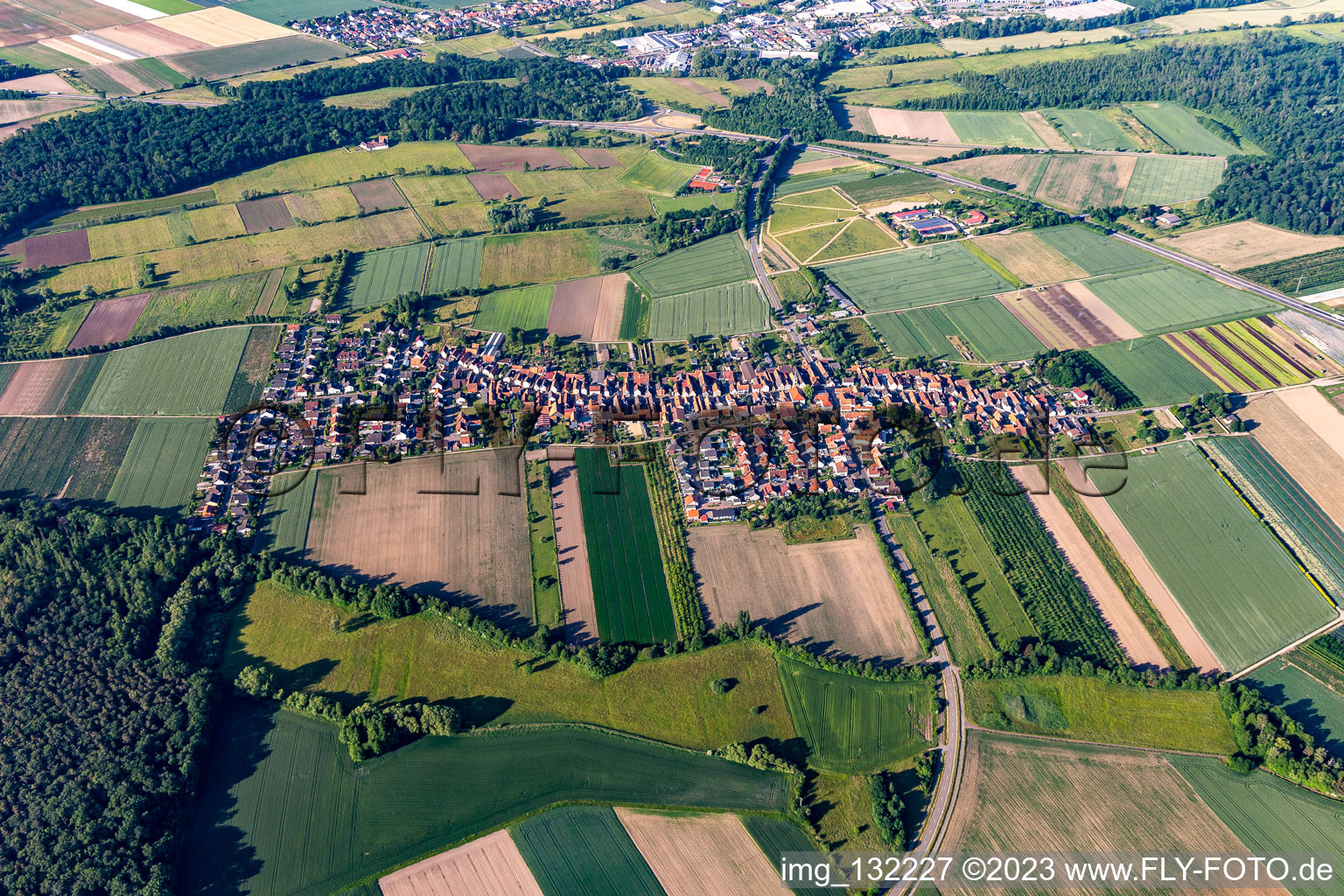 Schrägluftbild von Erlenbach bei Kandel im Bundesland Rheinland-Pfalz, Deutschland
