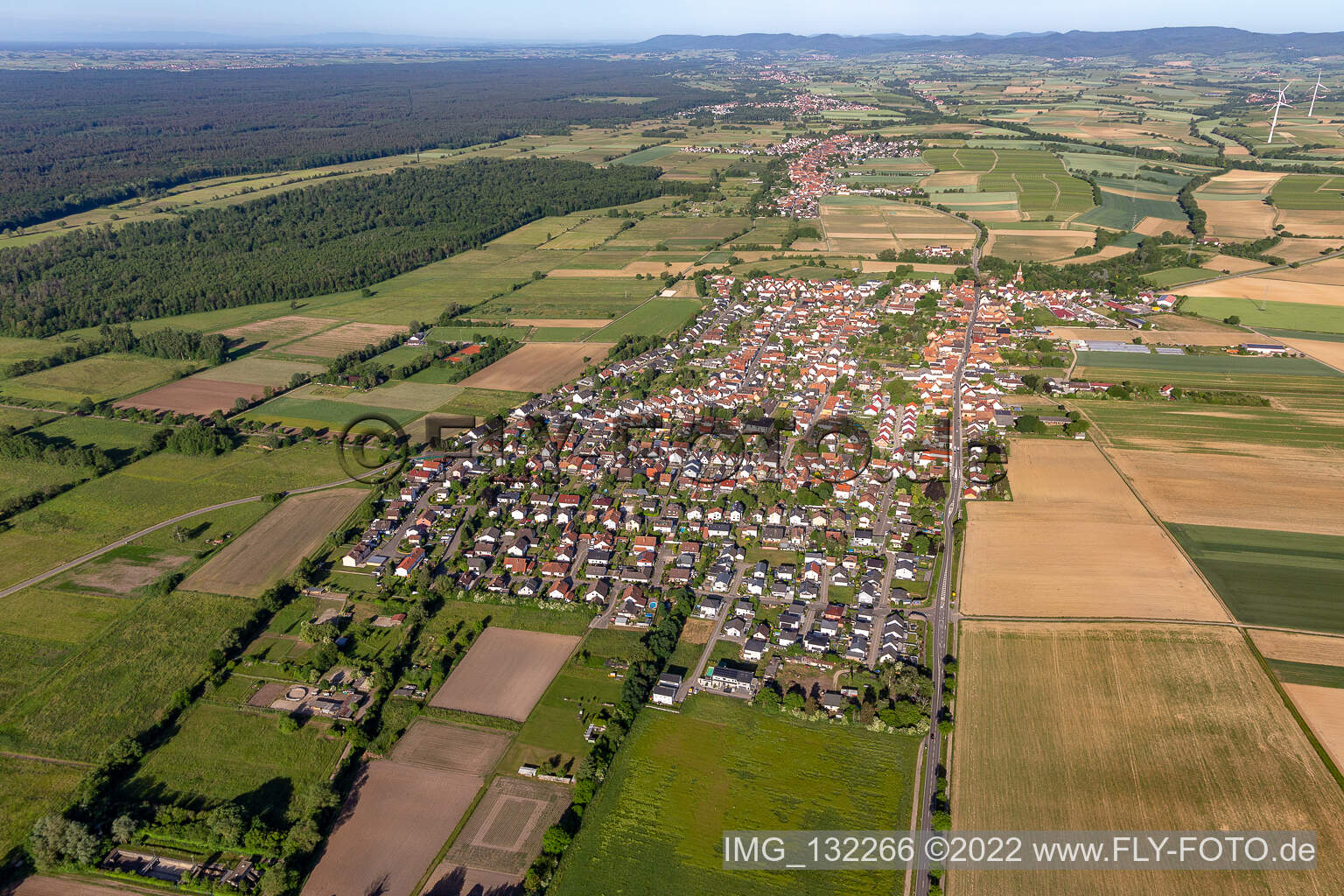 Minfeld im Bundesland Rheinland-Pfalz, Deutschland aus der Vogelperspektive