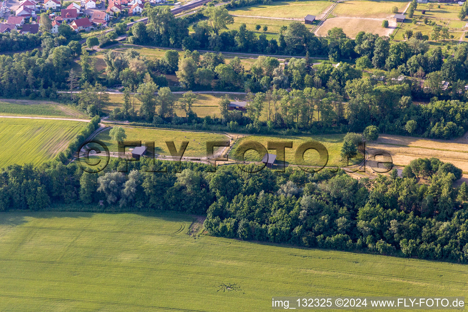 Mhou Straußenfarm in Rülzheim im Bundesland Rheinland-Pfalz, Deutschland