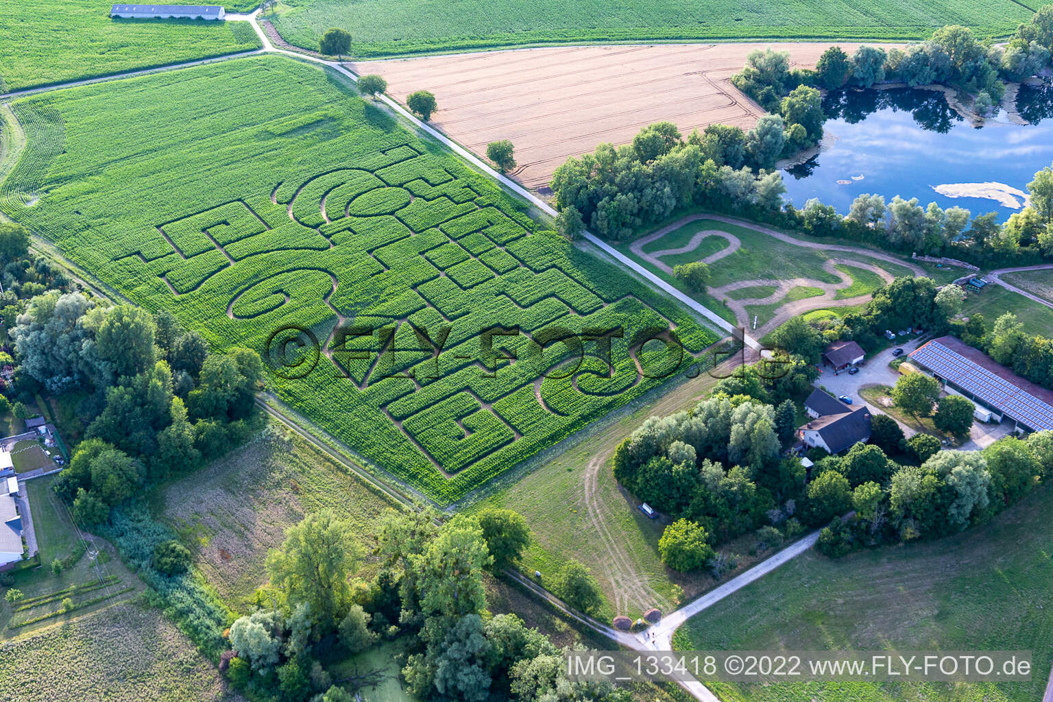 Luftbild von Maislabyrinth in Leimersheim im Bundesland Rheinland-Pfalz, Deutschland