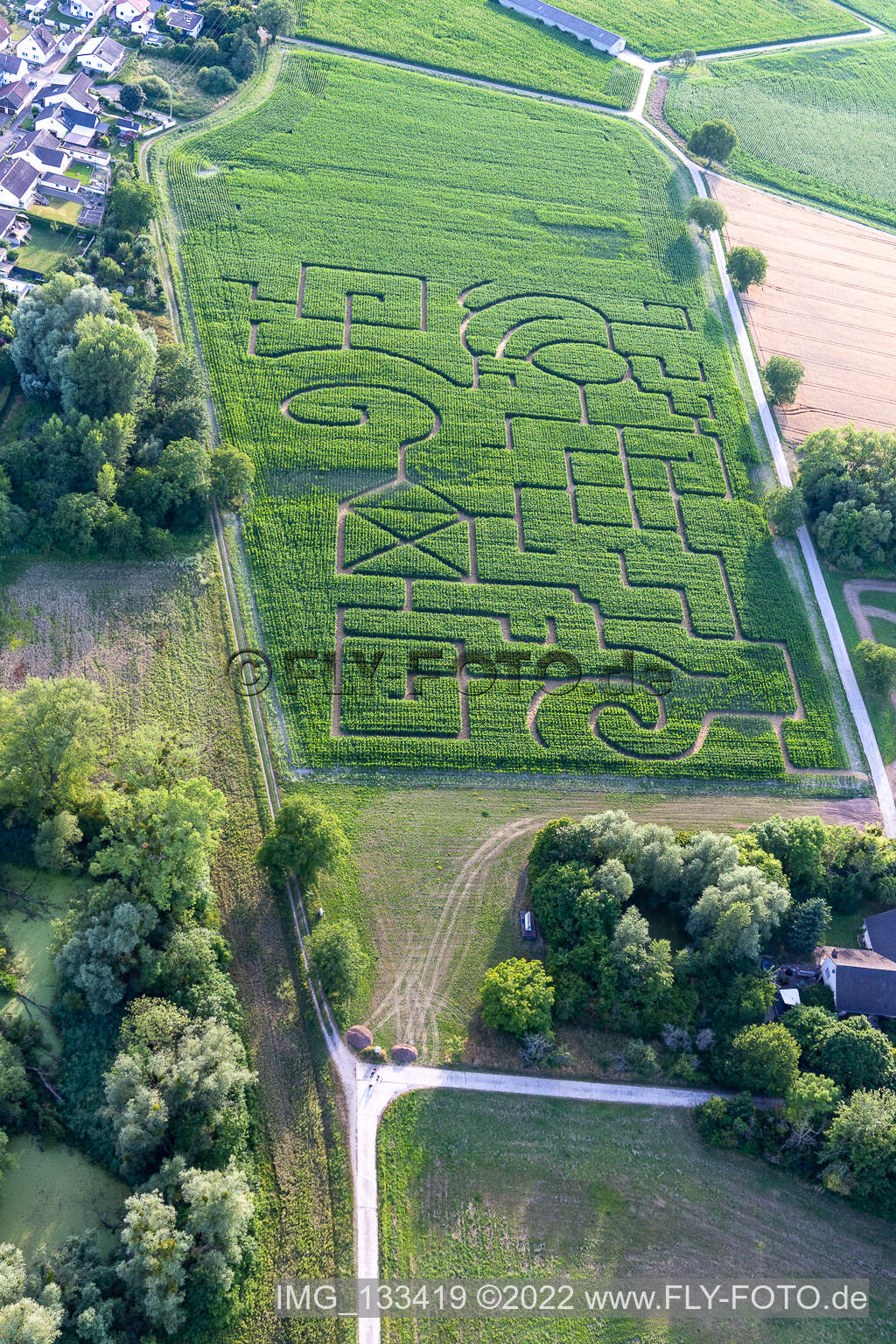 Luftaufnahme von Maislabyrinth in Leimersheim im Bundesland Rheinland-Pfalz, Deutschland