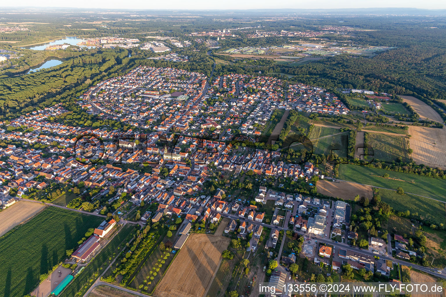 Lingenfeld im Bundesland Rheinland-Pfalz, Deutschland aus der Drohnenperspektive