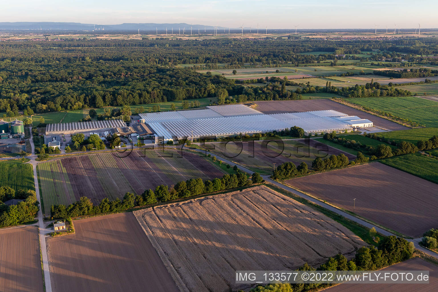 Luftaufnahme von Rudolf Sinn Jungpflanzen GmbH & Co. KG in Lustadt im Bundesland Rheinland-Pfalz, Deutschland