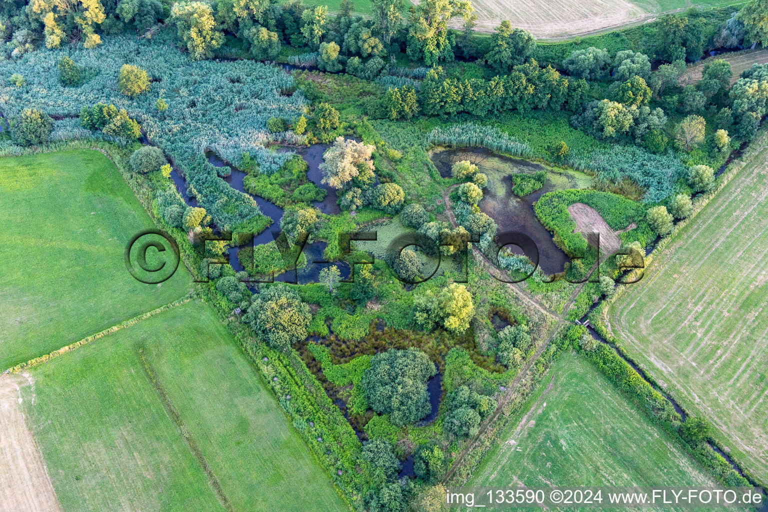 Luftbild von Biotop an der Queich in Hochstadt im Bundesland Rheinland-Pfalz, Deutschland