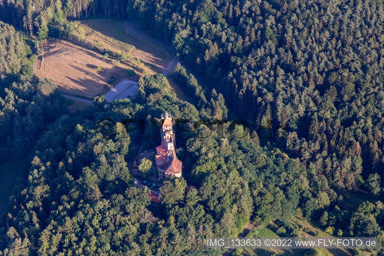 Burg Berwartstein in Erlenbach bei Dahn im Bundesland Rheinland-Pfalz, Deutschland aus der Vogelperspektive