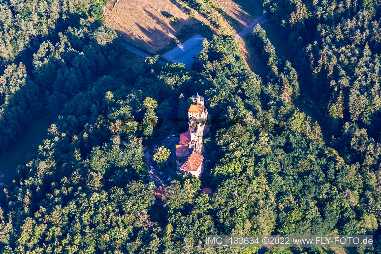 Burg Berwartstein in Erlenbach bei Dahn im Bundesland Rheinland-Pfalz, Deutschland aus der Luft betrachtet