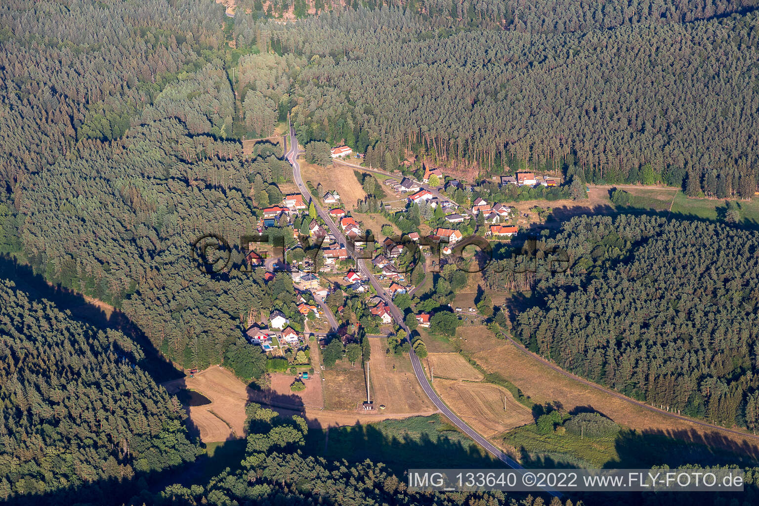 Lauterschwan in Erlenbach bei Dahn im Bundesland Rheinland-Pfalz, Deutschland aus der Luft
