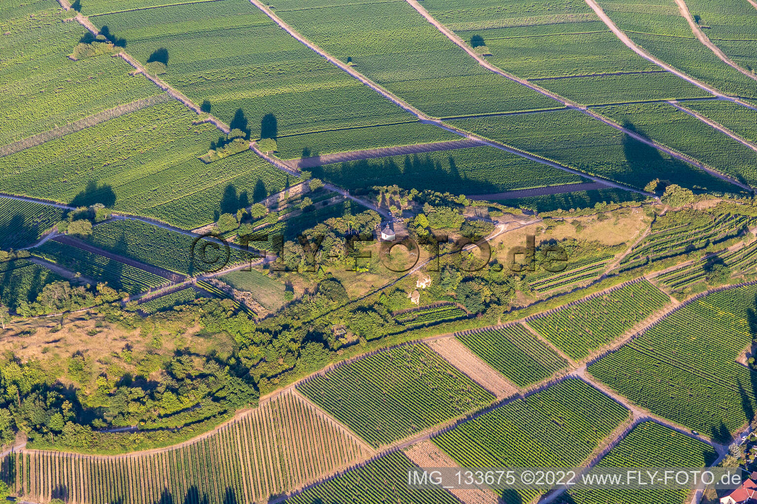 Drohnenbild von Ilbesheim bei Landau in der Pfalz im Bundesland Rheinland-Pfalz, Deutschland