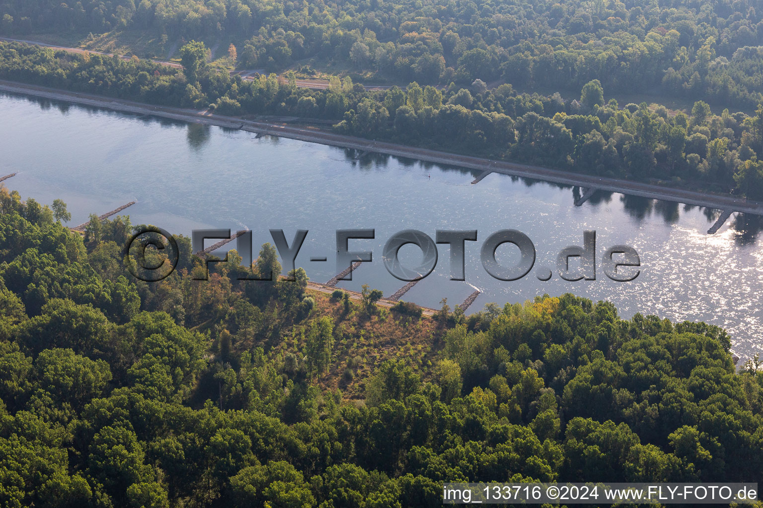 Trockengefallene Buhnen im Rhein bei Niedrigwasser in Leimersheim im Bundesland Rheinland-Pfalz, Deutschland