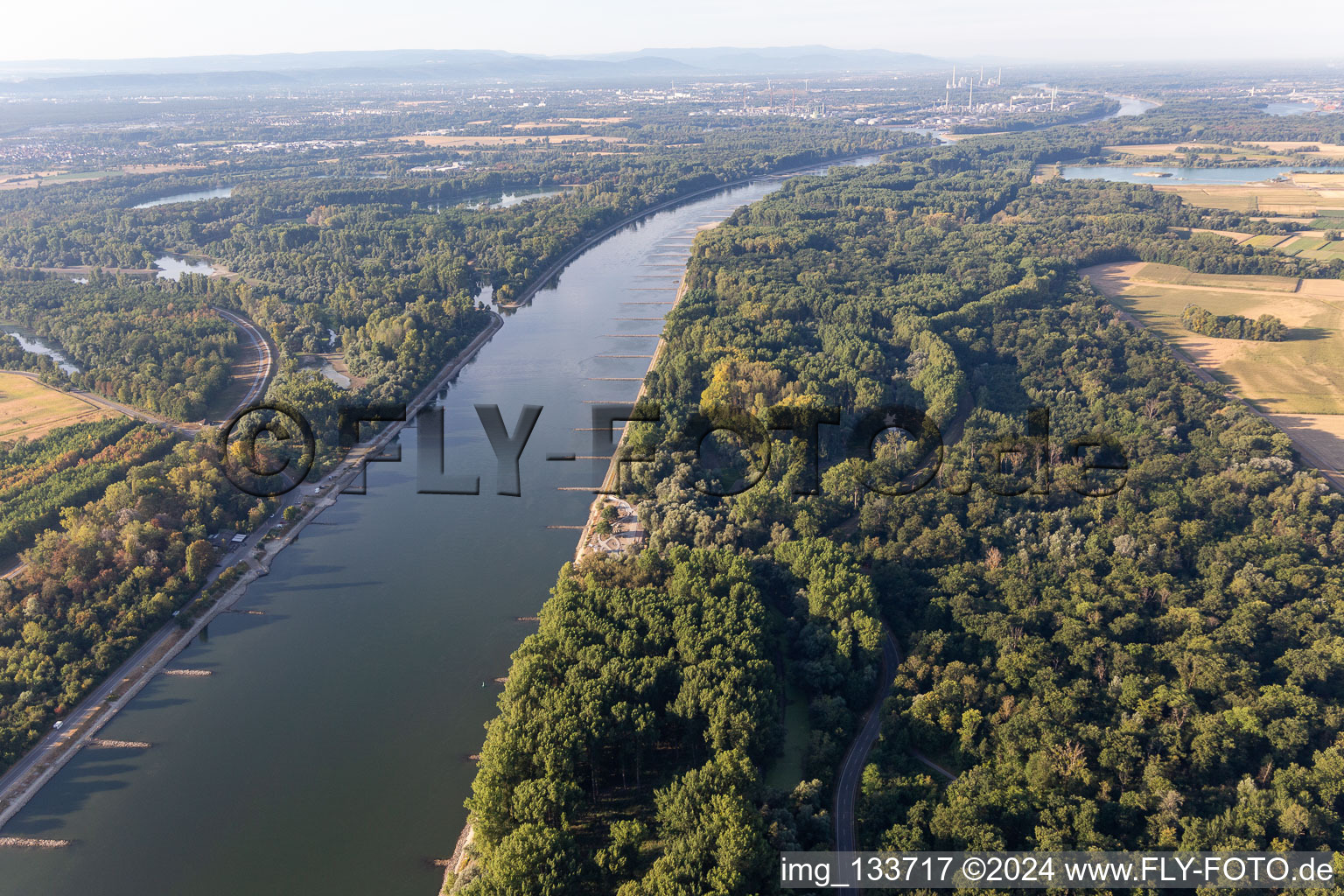 Luftbild von Trockengefallene Buhnen im Rhein bei Niedrigwasser in Leimersheim im Bundesland Rheinland-Pfalz, Deutschland