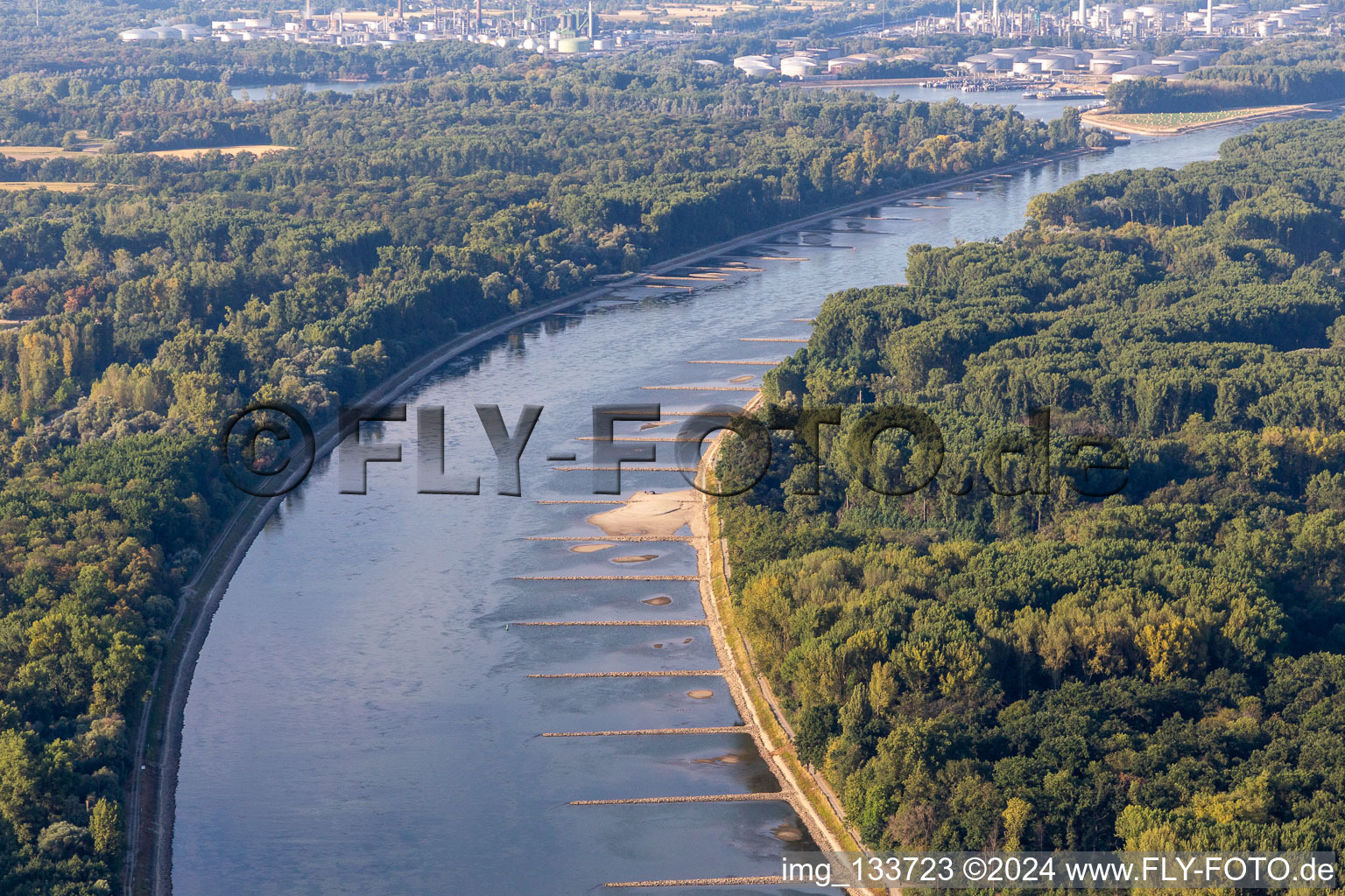Trockengefallene Buhnen und Sandbänke im Rhein wegen Niedrigwasser in Neupotz im Bundesland Rheinland-Pfalz, Deutschland