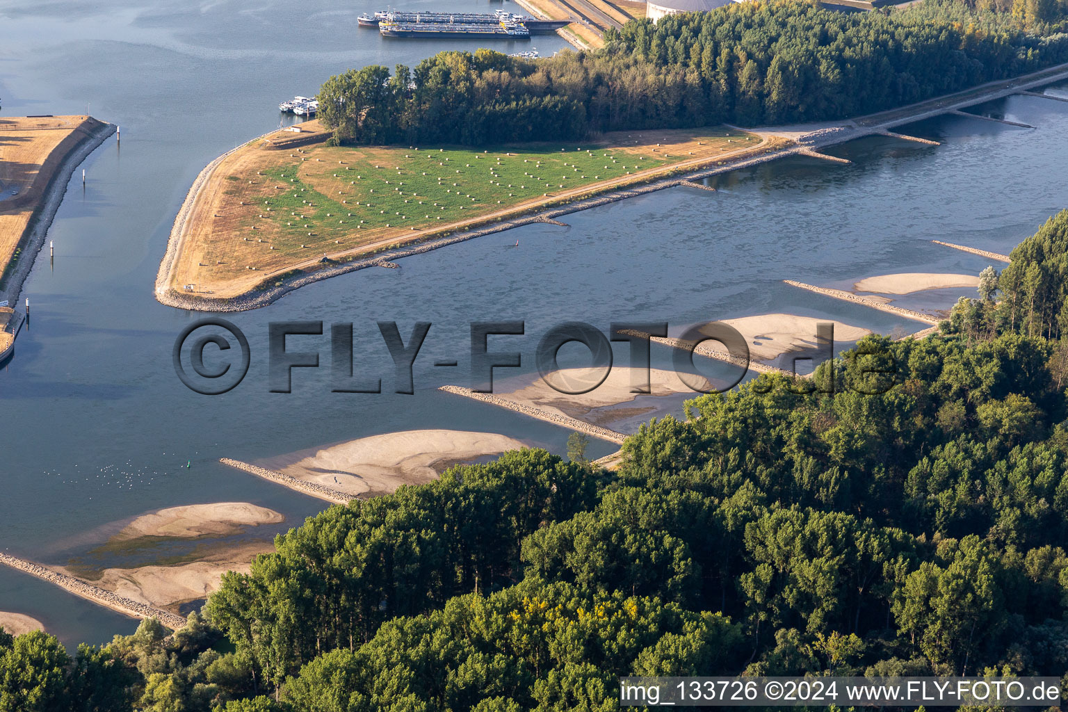 Luftaufnahme von Trockengefallene Buhnen und Sandbänke im Rhein wegen Niedrigwasser in Neupotz im Bundesland Rheinland-Pfalz, Deutschland