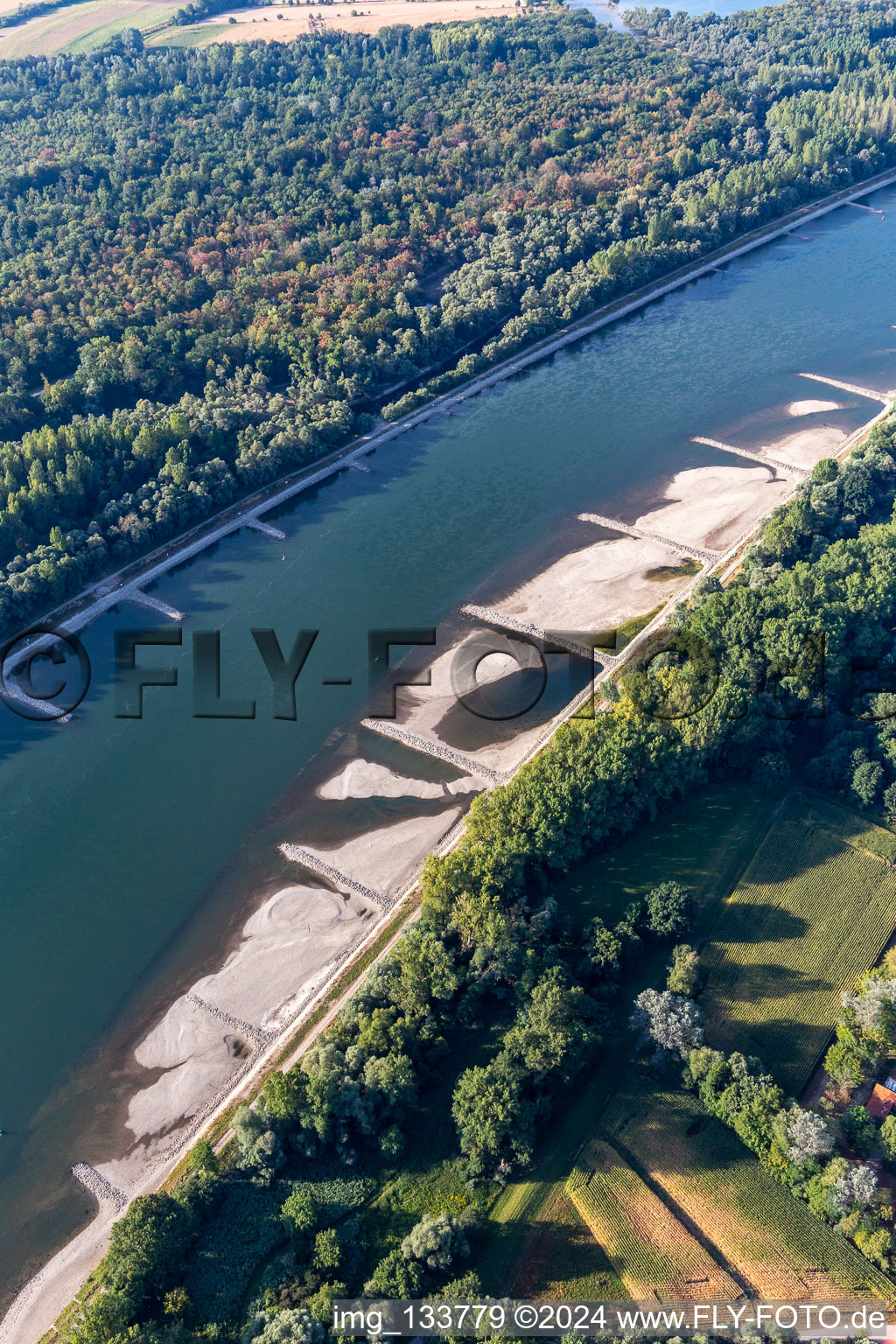 Trockengefallene Buhnen und Sandbänke im Rhein wegen Niedrigwasser in Hagenbach im Bundesland Rheinland-Pfalz, Deutschland