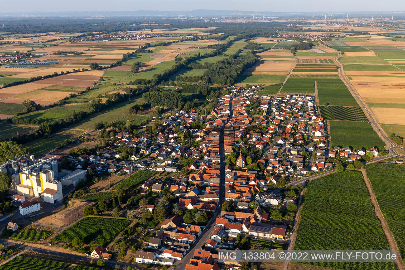 Luftbild von Getreidemühle der Cornexo GmbH in Freimersheim im Bundesland Rheinland-Pfalz, Deutschland