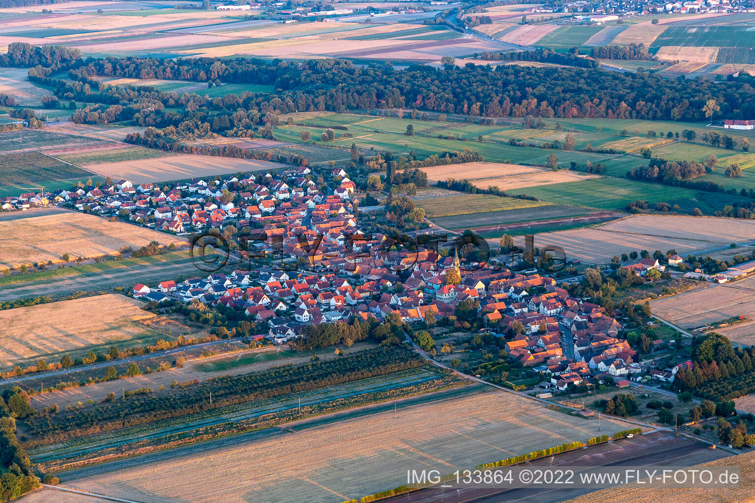 Erlenbach bei Kandel im Bundesland Rheinland-Pfalz, Deutschland aus der Vogelperspektive