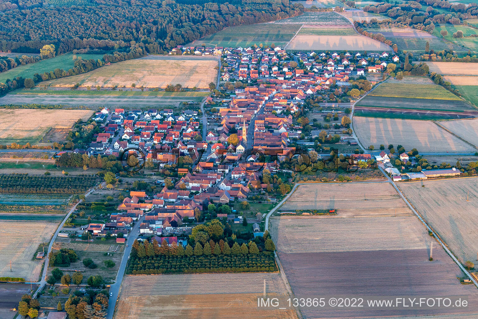 Erlenbach bei Kandel im Bundesland Rheinland-Pfalz, Deutschland aus der Luft betrachtet
