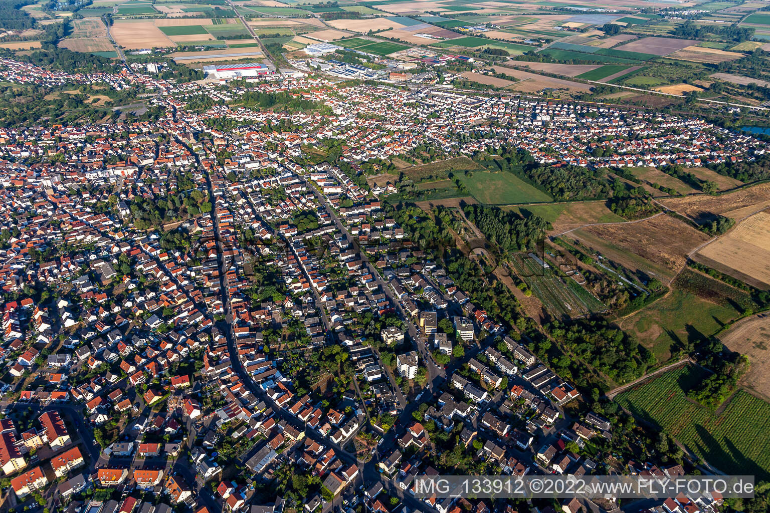 Schifferstadt im Bundesland Rheinland-Pfalz, Deutschland aus der Luft