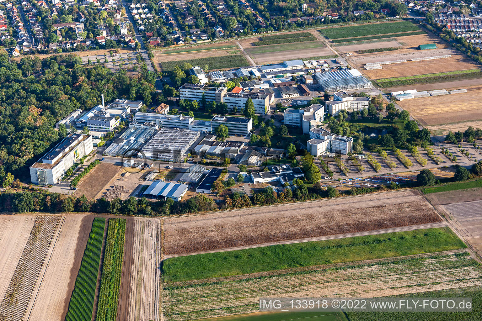 Luftbild von BASF Agricultural Center in Limburgerhof im Bundesland Rheinland-Pfalz, Deutschland