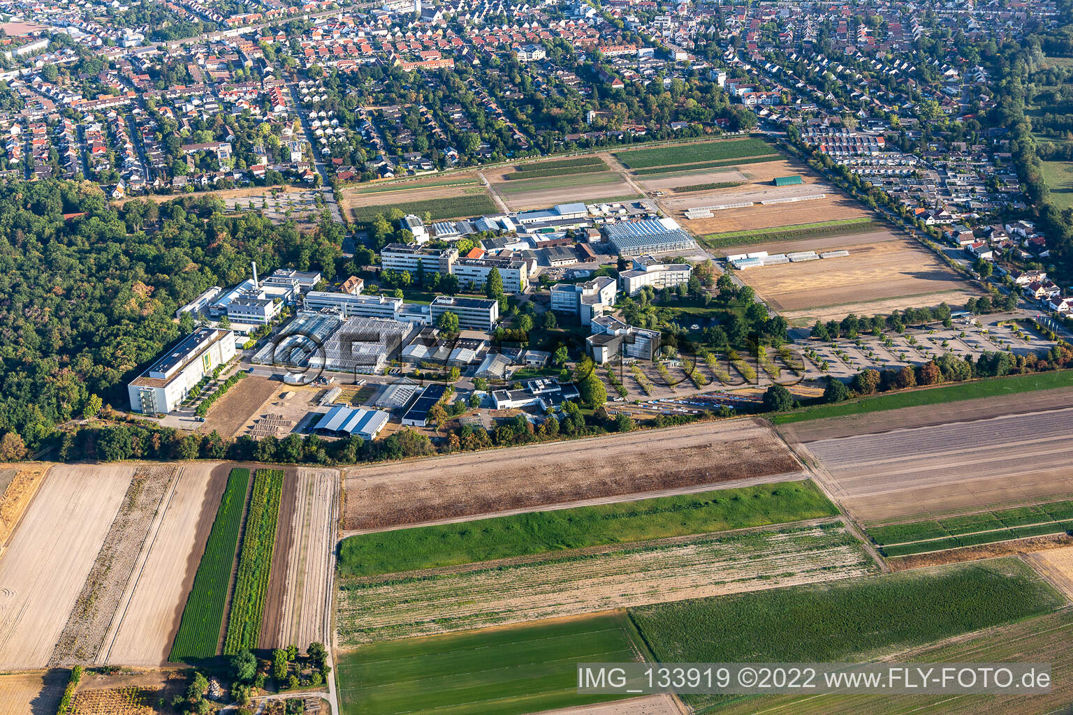 Luftaufnahme von BASF Agricultural Center in Limburgerhof im Bundesland Rheinland-Pfalz, Deutschland