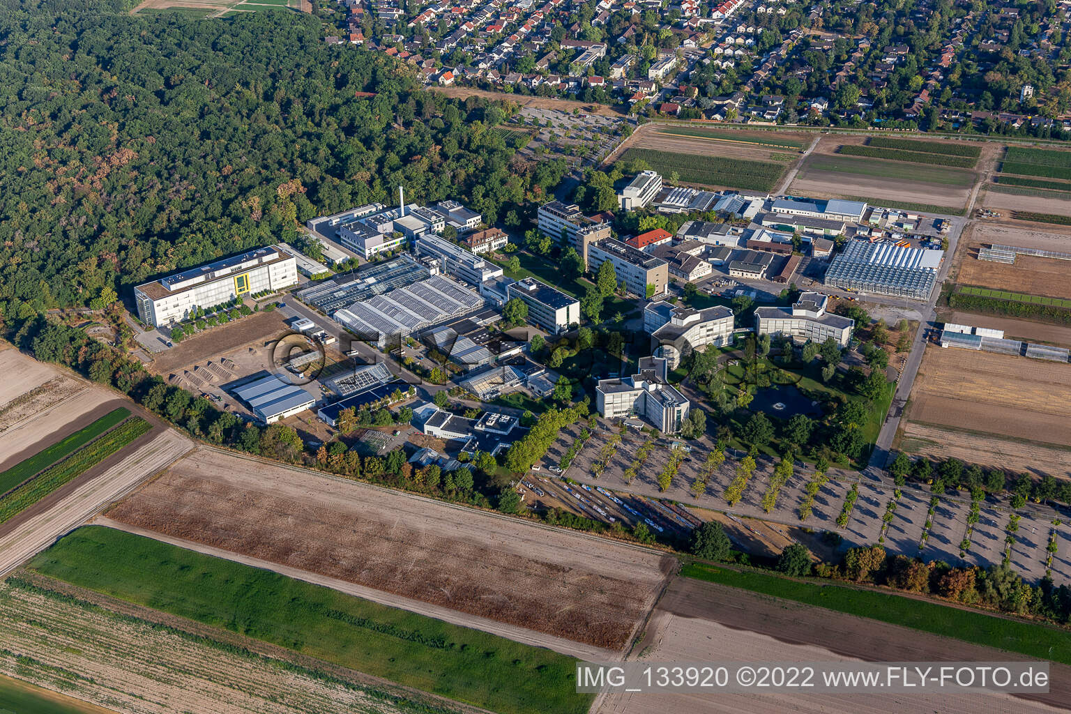 Schrägluftbild von BASF Agricultural Center in Limburgerhof im Bundesland Rheinland-Pfalz, Deutschland