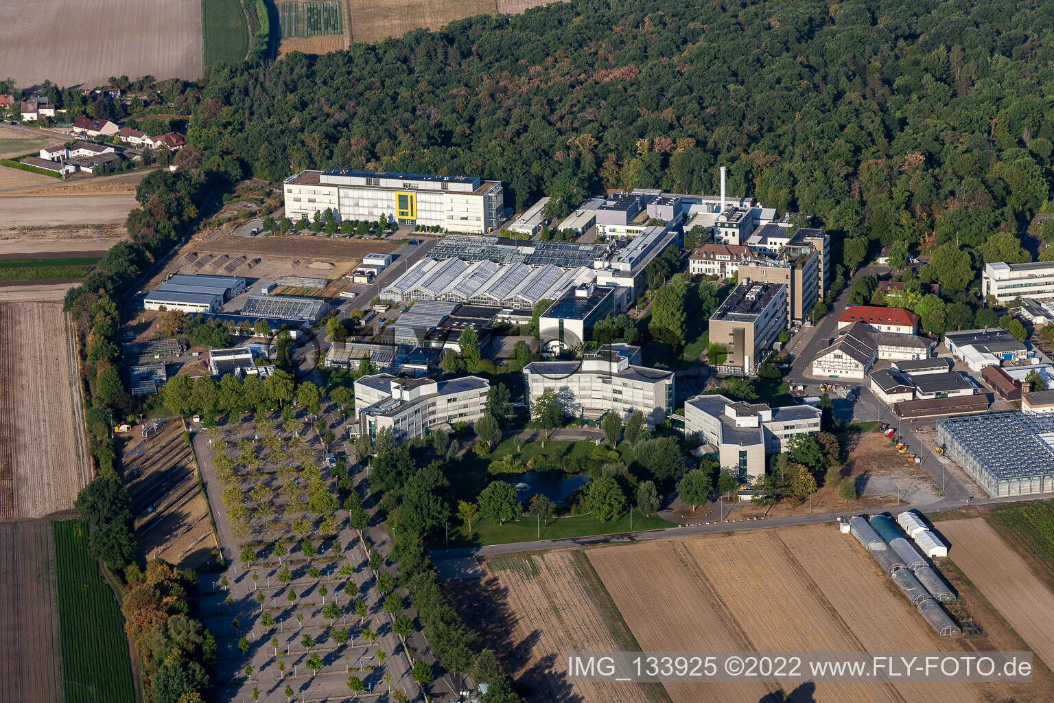 BASF Agricultural Center in Limburgerhof im Bundesland Rheinland-Pfalz, Deutschland von oben