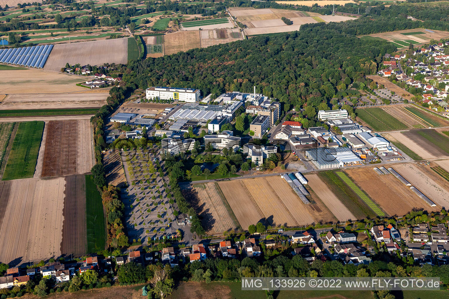 BASF Agricultural Center in Limburgerhof im Bundesland Rheinland-Pfalz, Deutschland aus der Luft