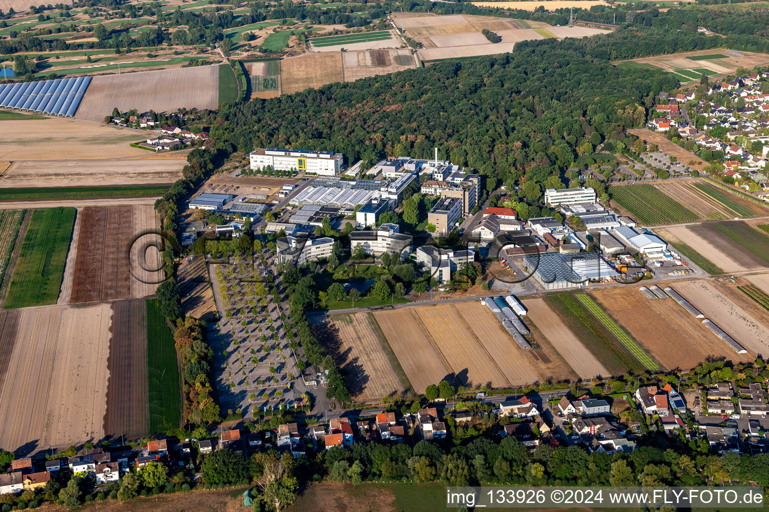 BASF Agricultural Center in Limburgerhof im Bundesland Rheinland-Pfalz, Deutschland aus der Luft