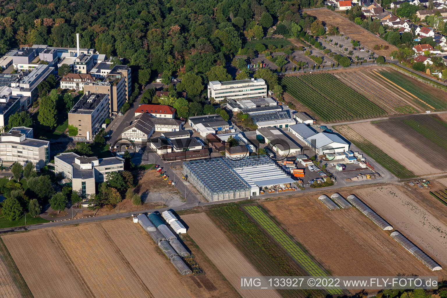 BASF Agricultural Center in Limburgerhof im Bundesland Rheinland-Pfalz, Deutschland von oben gesehen