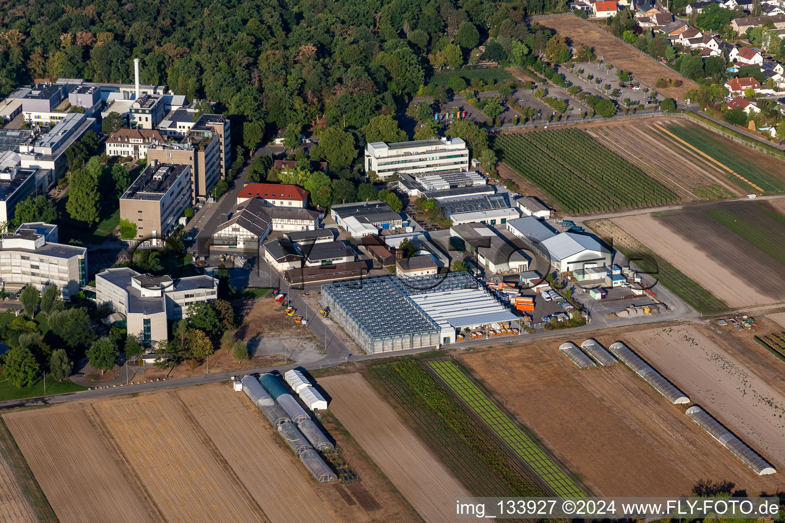 BASF Agricultural Center in Limburgerhof im Bundesland Rheinland-Pfalz, Deutschland von oben gesehen