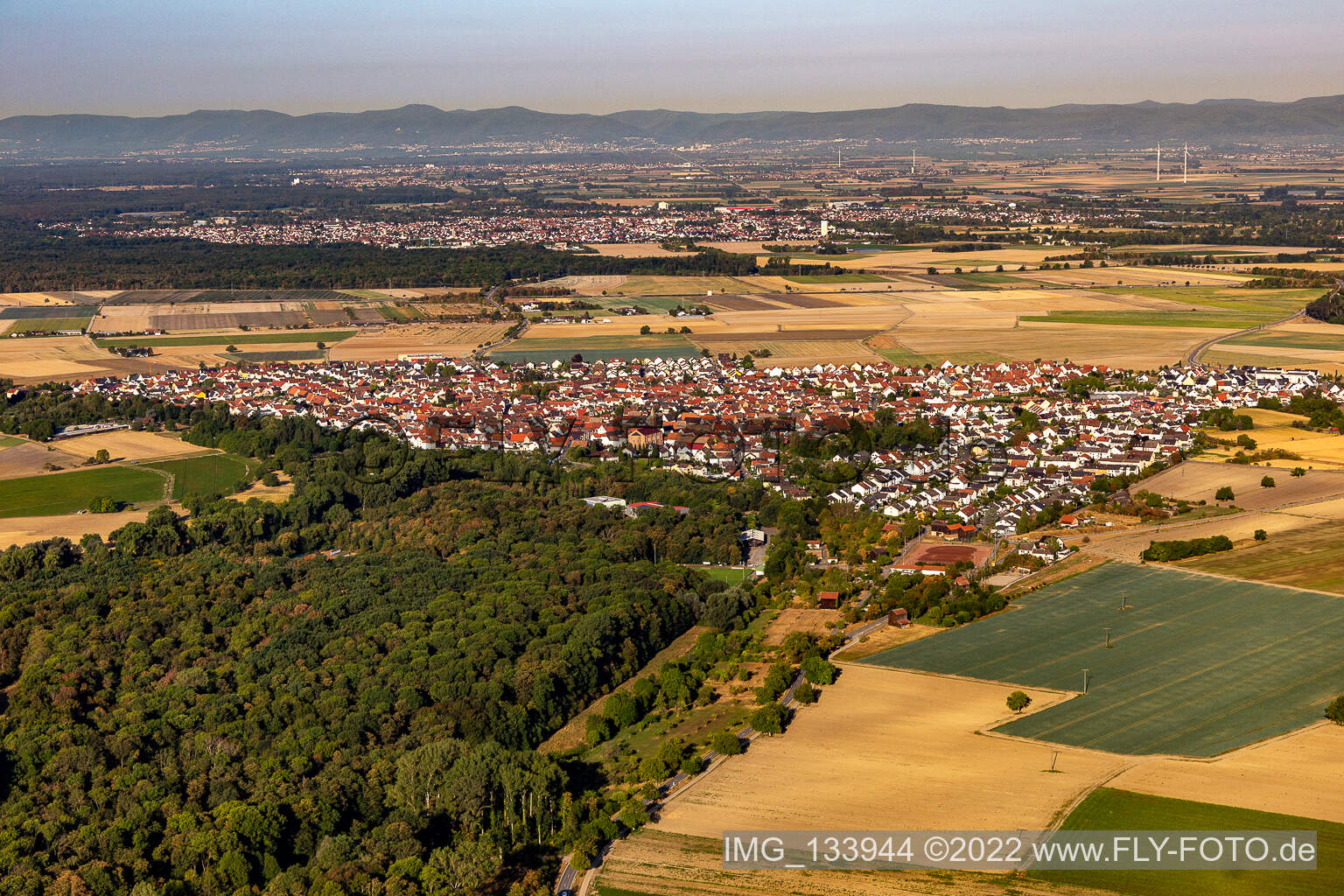 Luftaufnahme von Waldsee im Bundesland Rheinland-Pfalz, Deutschland