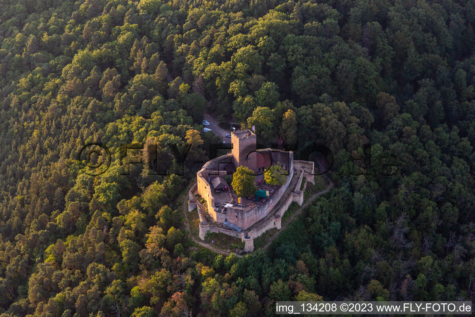 Burg Landeck bei Klingenmünster im Bundesland Rheinland-Pfalz, Deutschland
