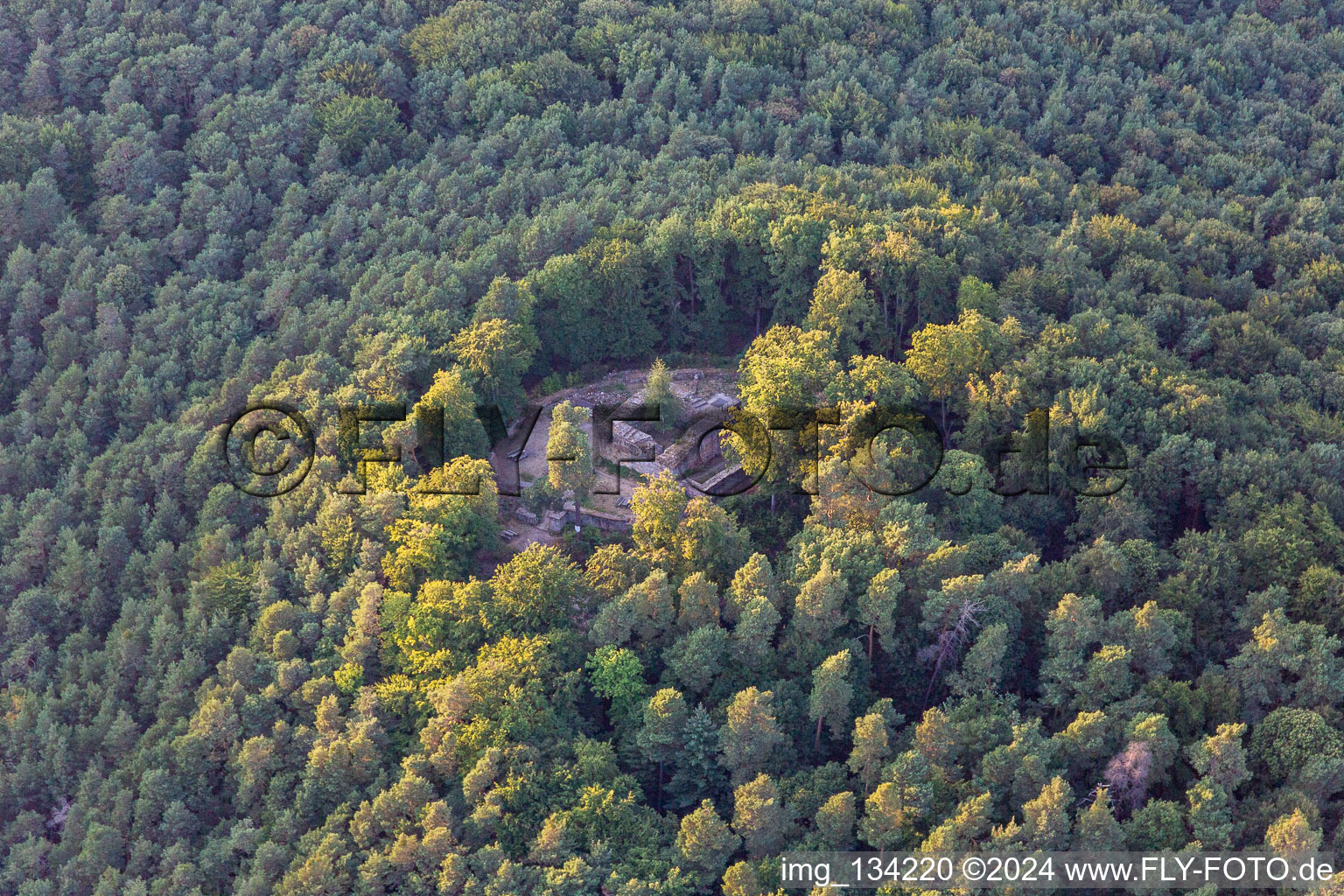 Waldschlössel in Klingenmünster im Bundesland Rheinland-Pfalz, Deutschland