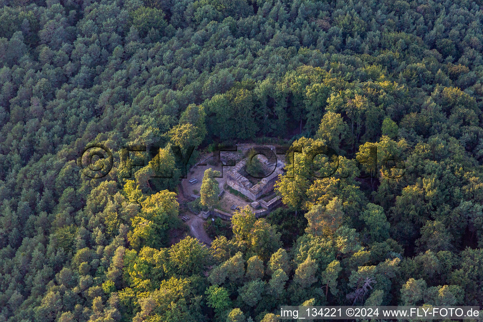 Luftbild von Waldschlössel in Klingenmünster im Bundesland Rheinland-Pfalz, Deutschland