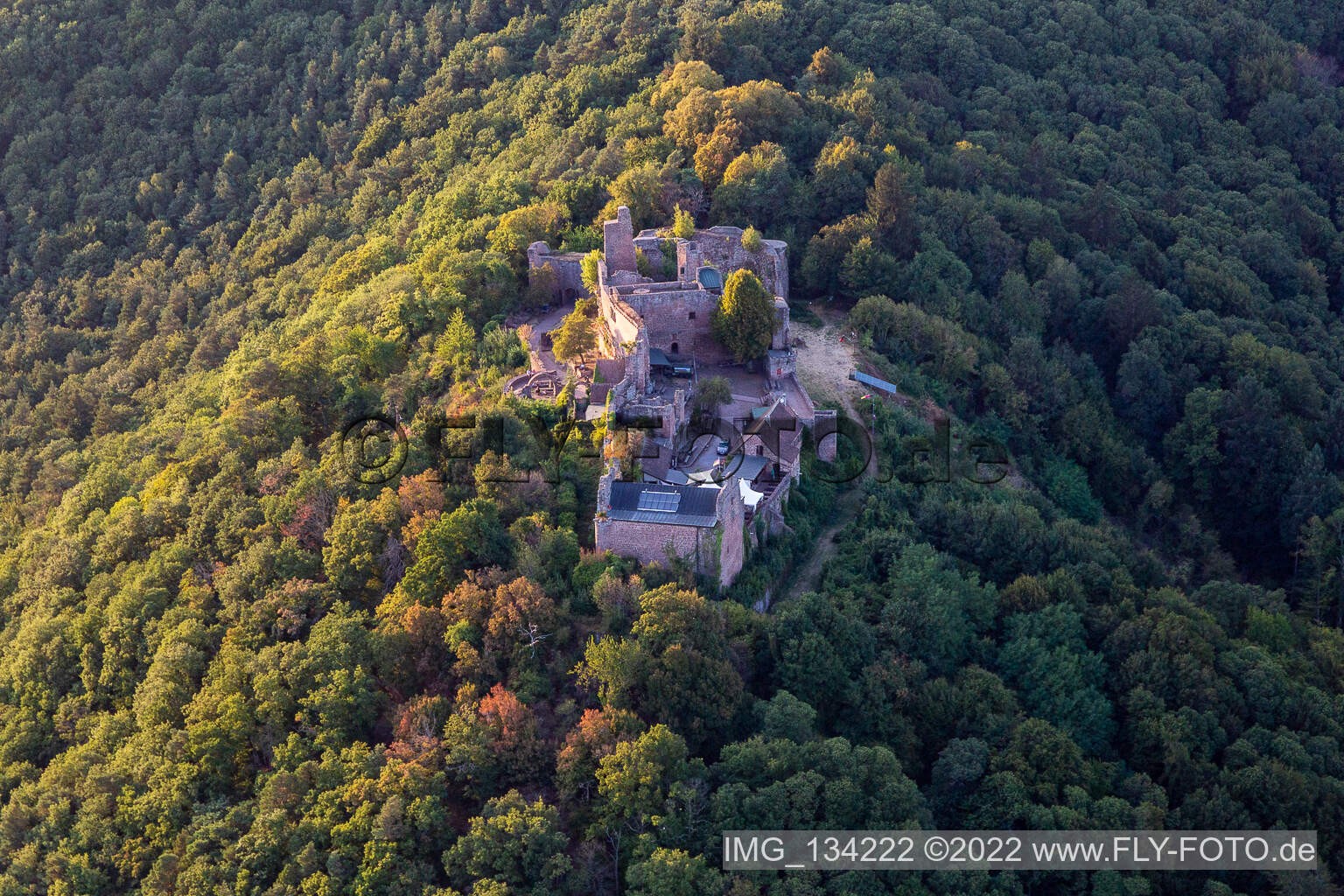 Madenburg in Eschbach im Bundesland Rheinland-Pfalz, Deutschland von einer Drohne aus