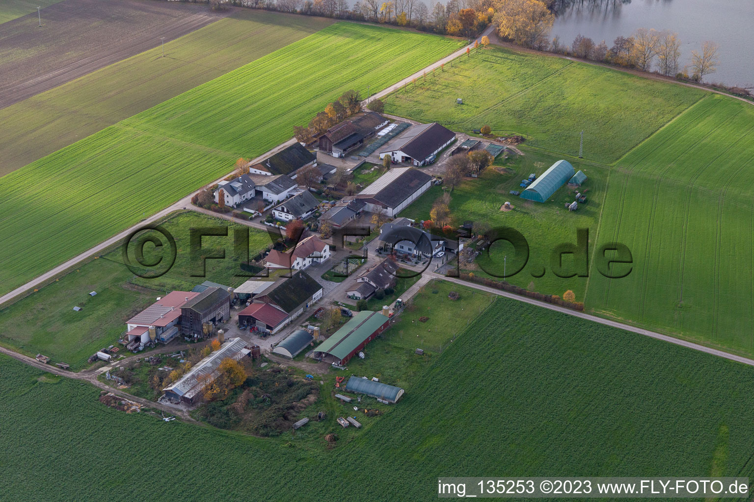 Luftbild von Burgerhof, Jägerhof in Neupotz im Bundesland Rheinland-Pfalz, Deutschland