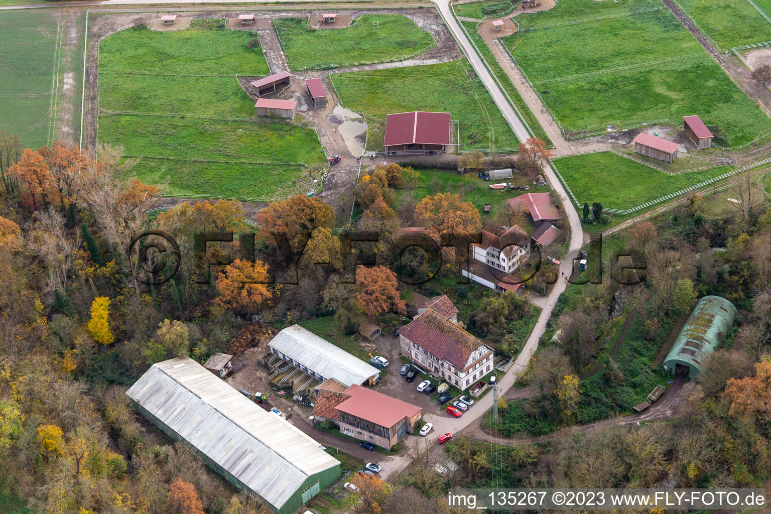 Luftbild von Wanzheimer Mühle in Rheinzabern im Bundesland Rheinland-Pfalz, Deutschland