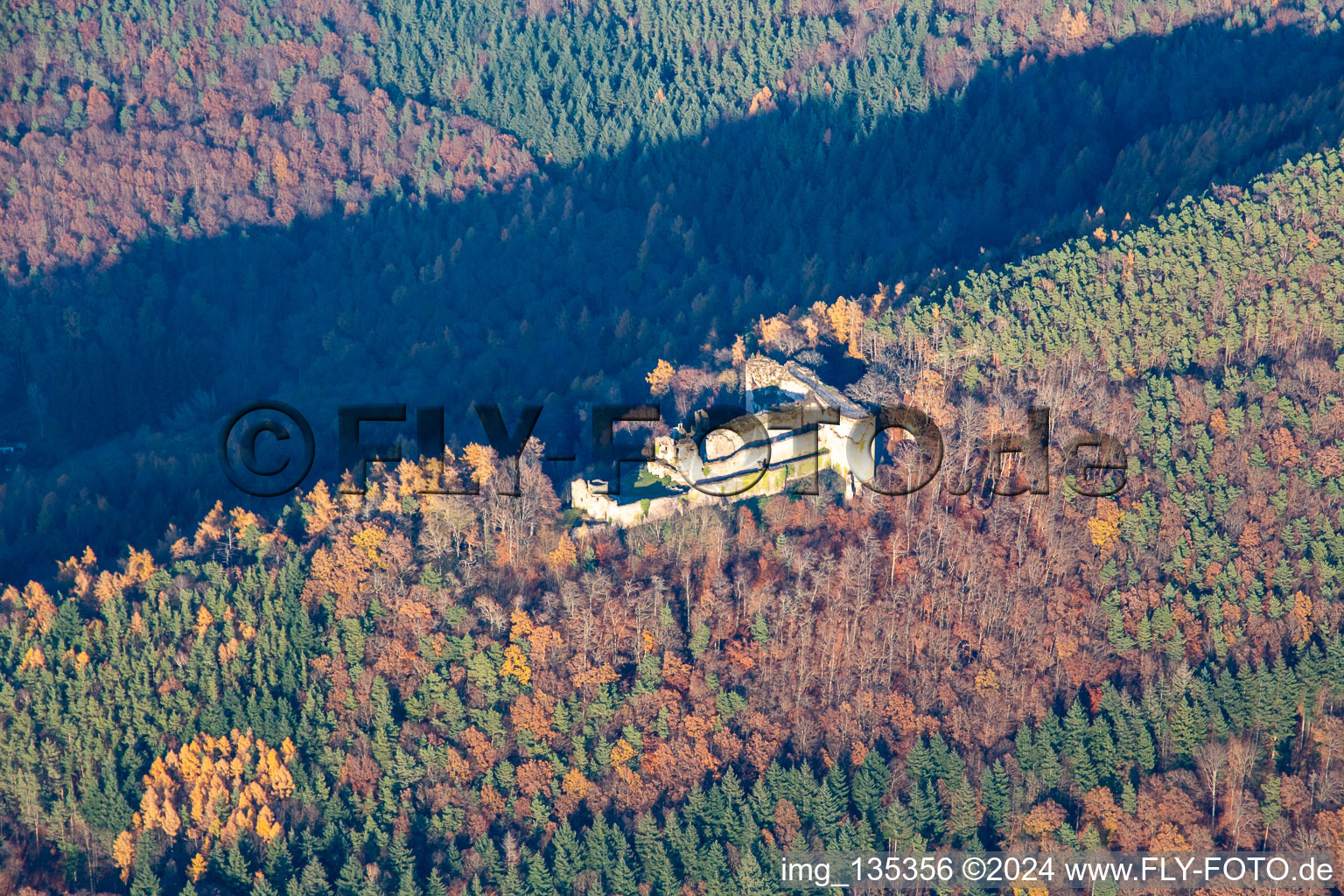 Burgruine Neuscharfeneck von Süden in Flemlingen im Bundesland Rheinland-Pfalz, Deutschland