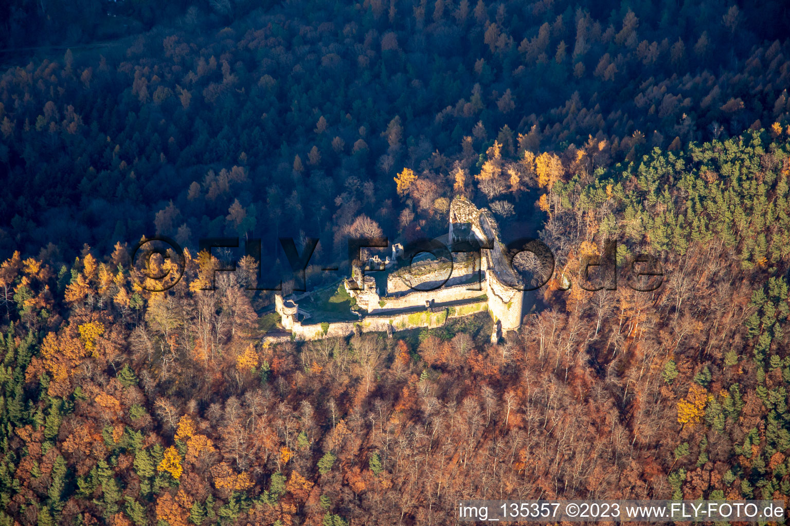 Luftbild von Burgruine Neuscharfeneck von Süden in Flemlingen im Bundesland Rheinland-Pfalz, Deutschland