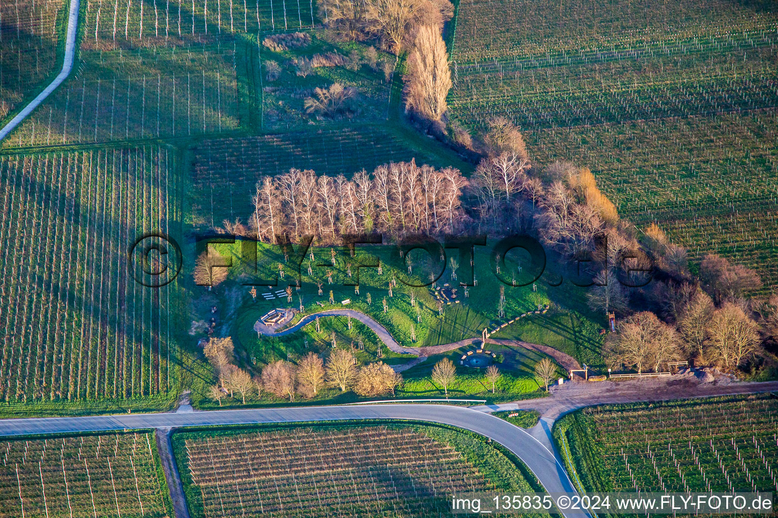 Klima ARBORETUM in Flemlingen im Bundesland Rheinland-Pfalz, Deutschland