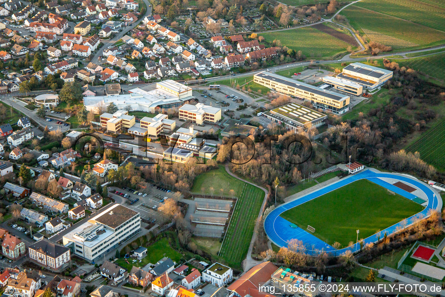 Luftbild von Paul-Gillet-Realschule plus, Weinstraße ;  Gymnasium und Großsporthalle Edenkoben im Bundesland Rheinland-Pfalz, Deutschland