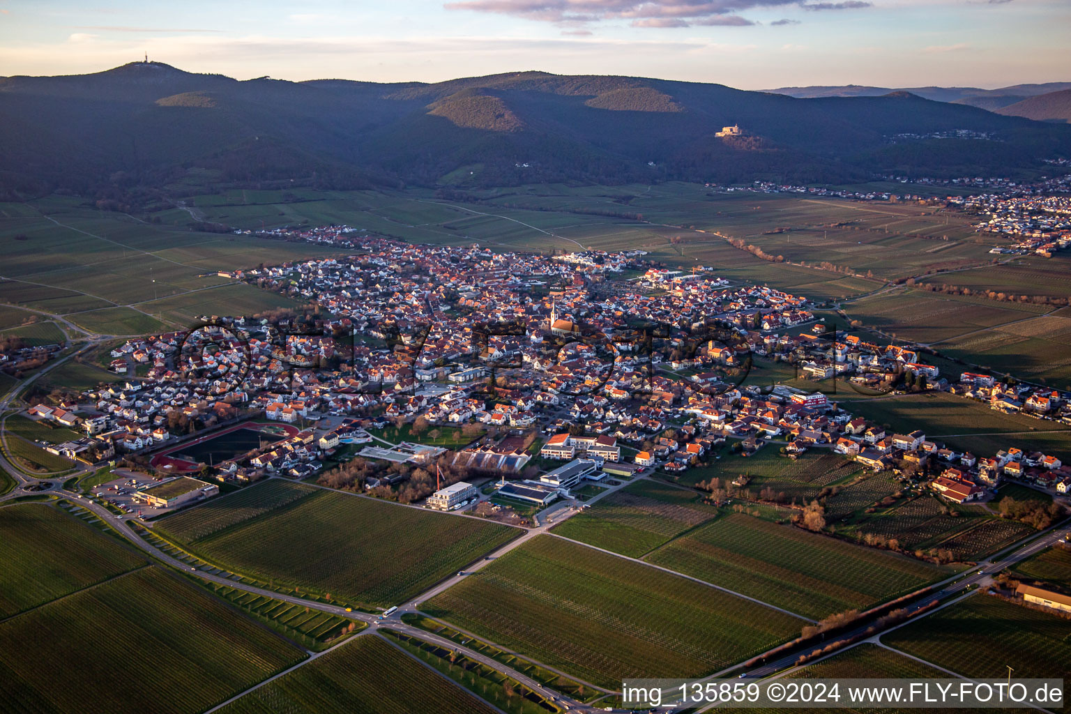 Von Südosten in Maikammer im Bundesland Rheinland-Pfalz, Deutschland